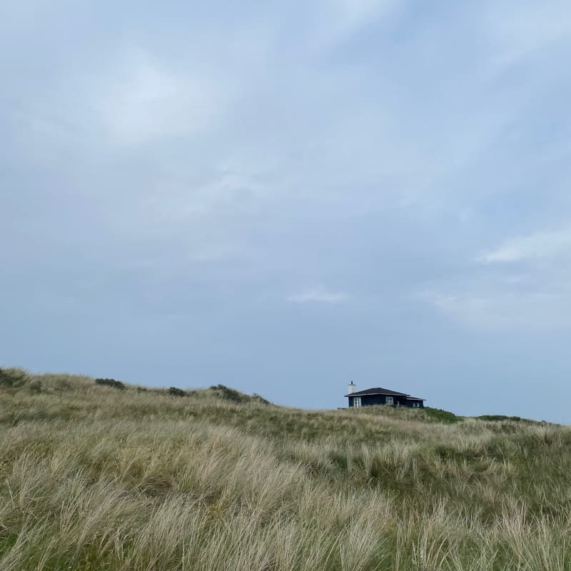 Dänsches Haus auf einer Wiese