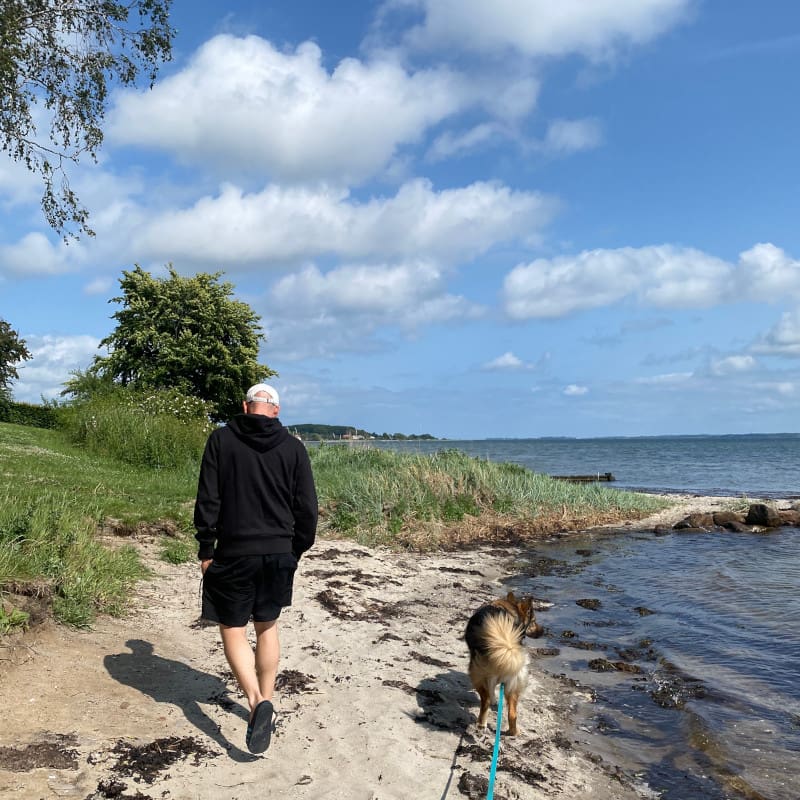 Fabi & Leeyah laufen am Strand von Horsens