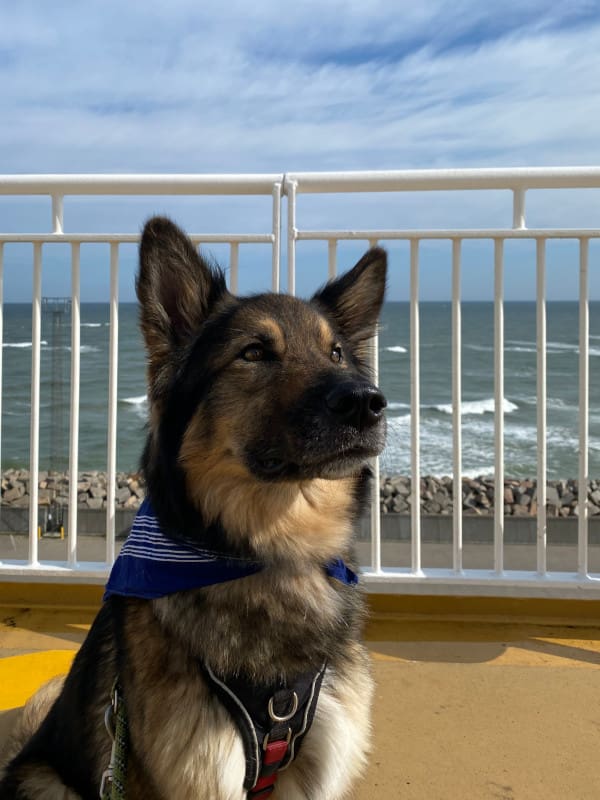 Leeyah auf dem Deck der Fjordline