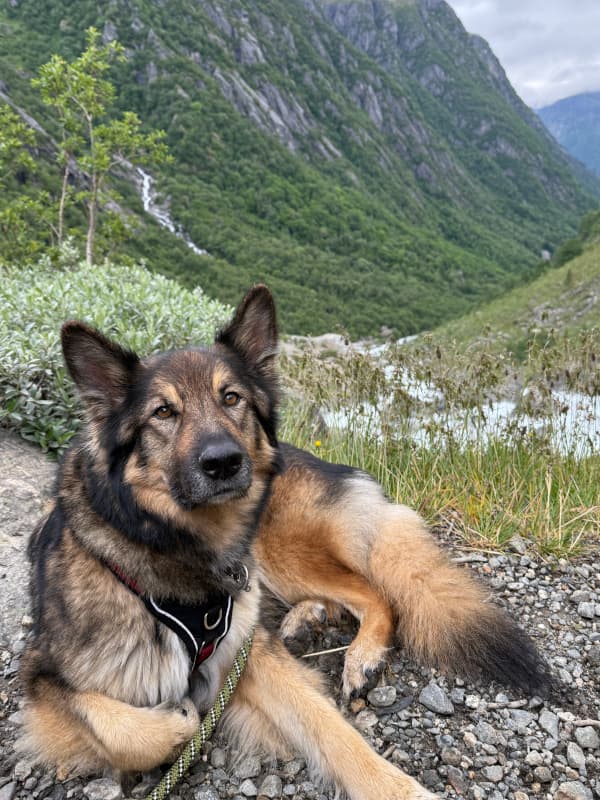 Leeyah genießt die Pause - Buarbreen Gletscher Wanderung