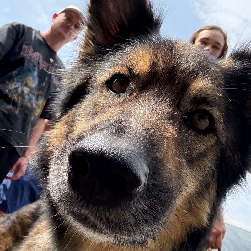 Leeyah schaut in die Kamera in Steinheim