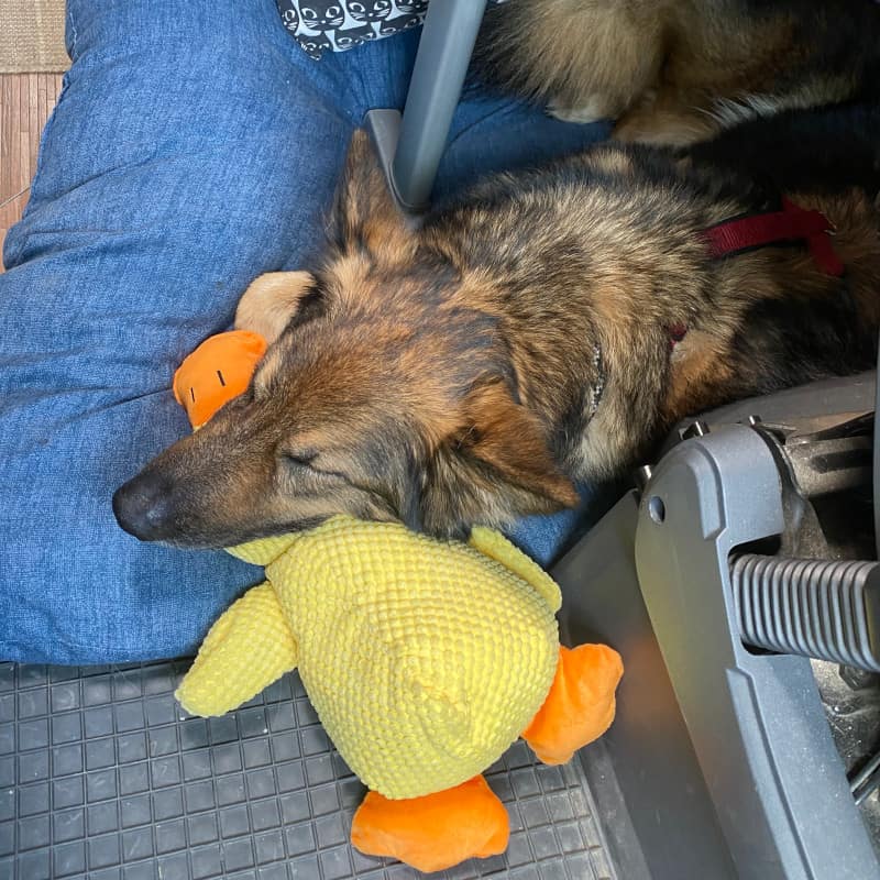 Leeyah schläft auf ihrer Ente