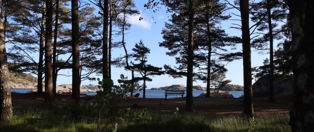Wald in Mandal mit Aussicht aufs Meer