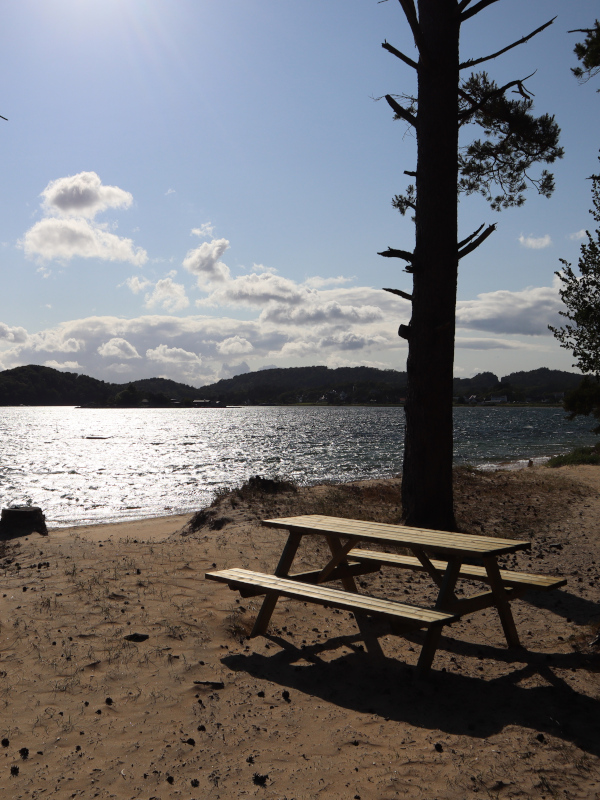 Sitzbank im Wald von Mandal