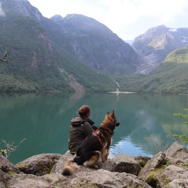 Sassi und Leeyah schauen auf den Bondhusvatnet See