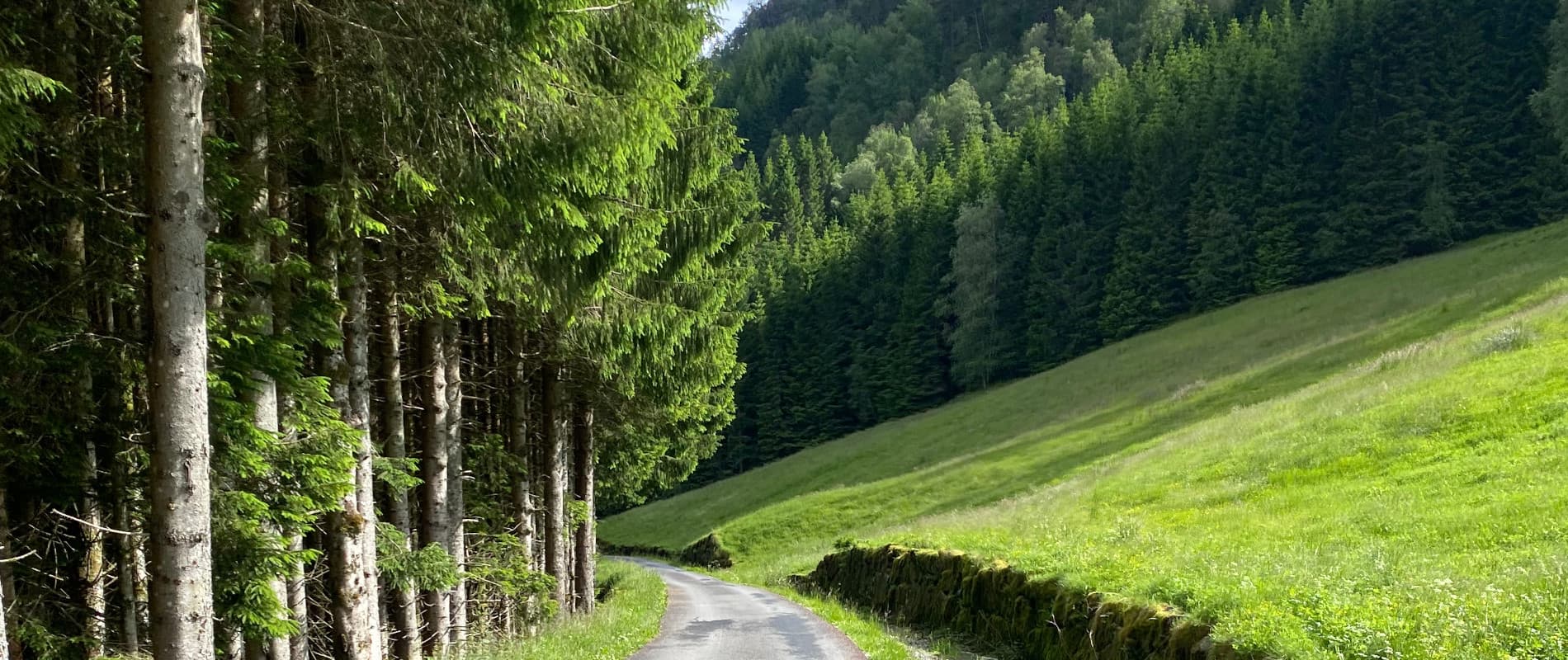 Tag 10: Fahrt zu den Låtefossen