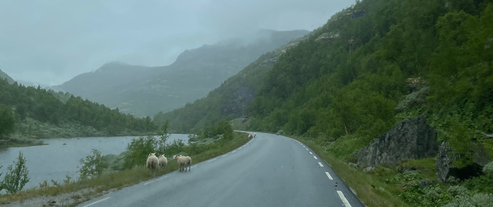 Tag 22: Auf nach Årdal