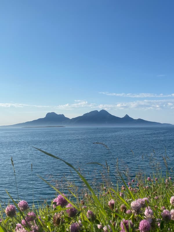 Bodo Aussicht auf Insel
