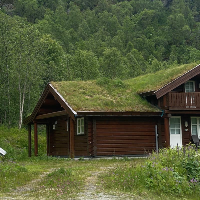 Haus Norwegen Grasdach