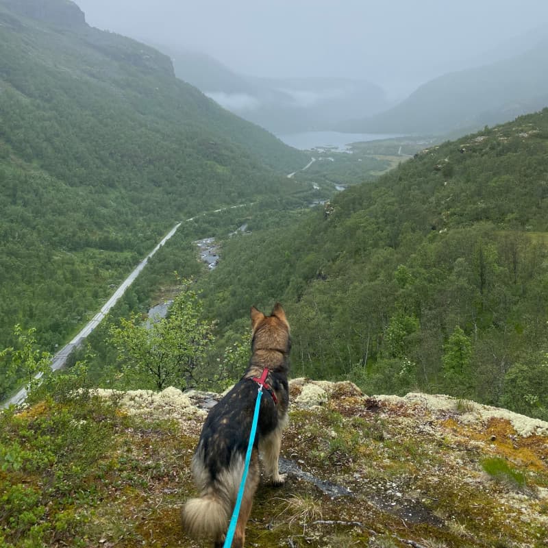 Leeyah Aussicht Wanderung vom Berg