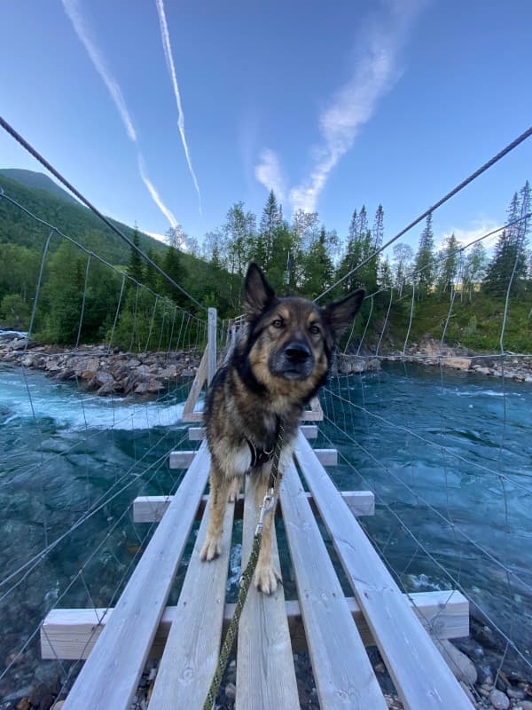Leeyah auf Hängebrücke - Bredekrunden-Wanderung