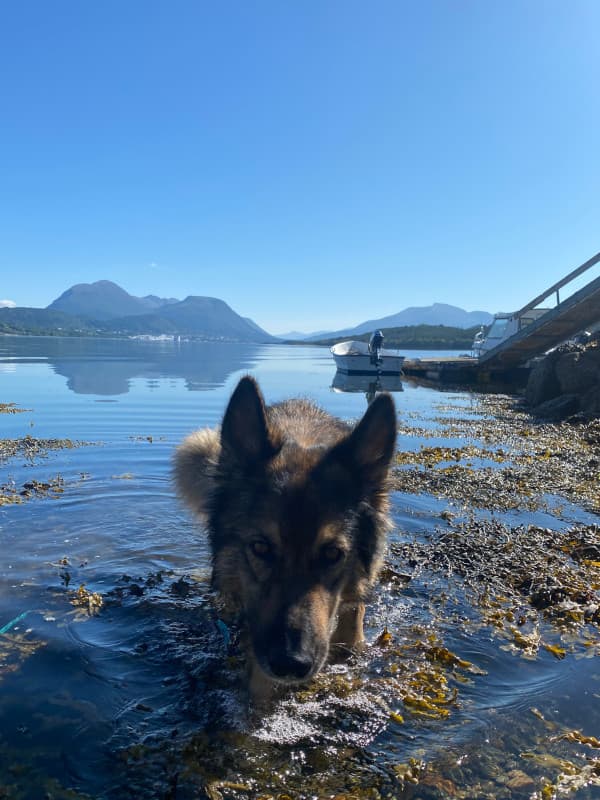 Leeyah im Wasser - Vagoy