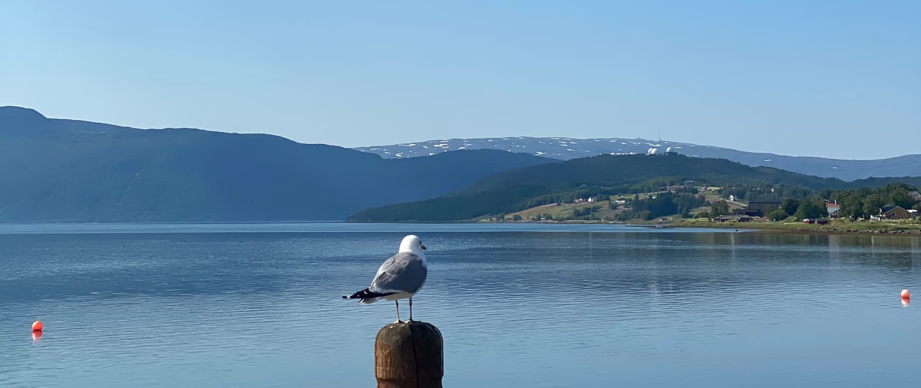 Tag 43 + 44: Weiter nach Bodø und Stadttour
