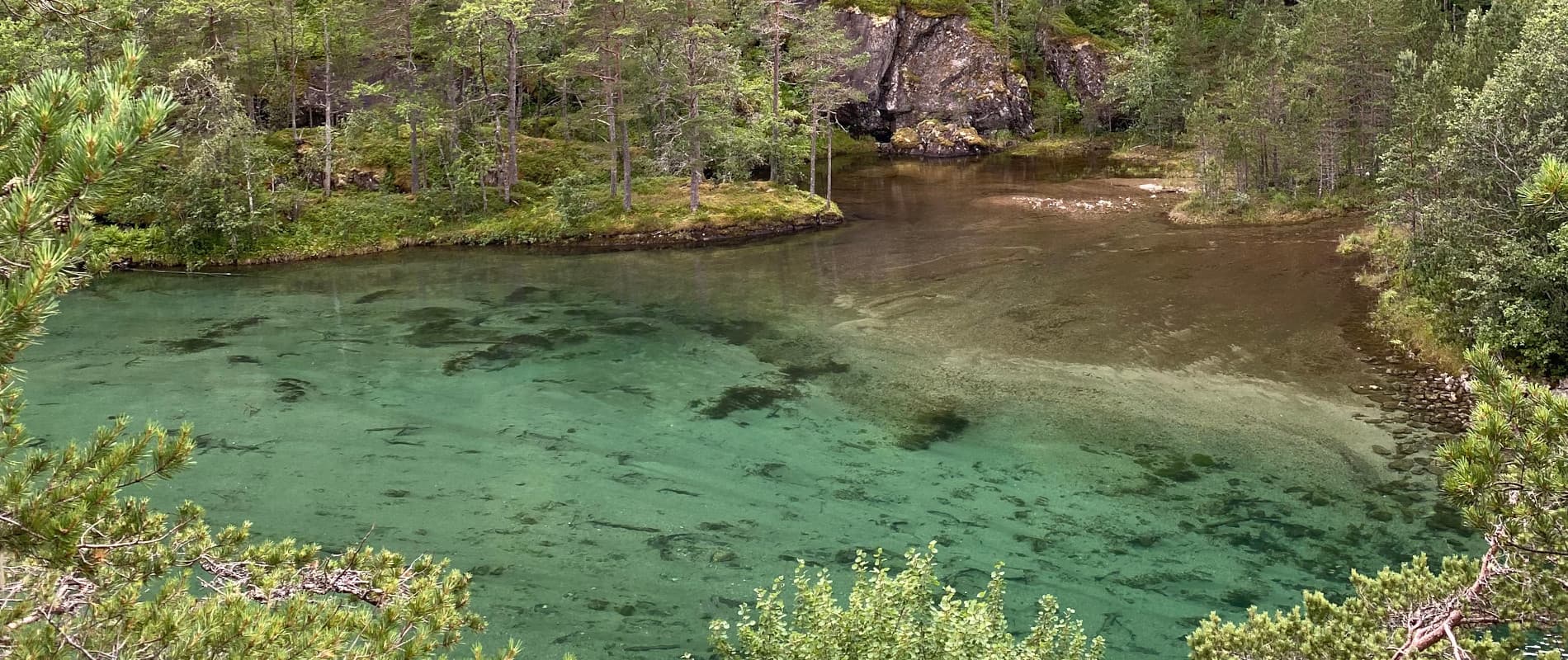 Tag 20: Auf zum Nykkjesøyfossen Wasserfall