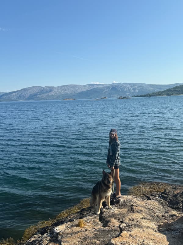 Sassi am Fjord, Weg nach Bodo