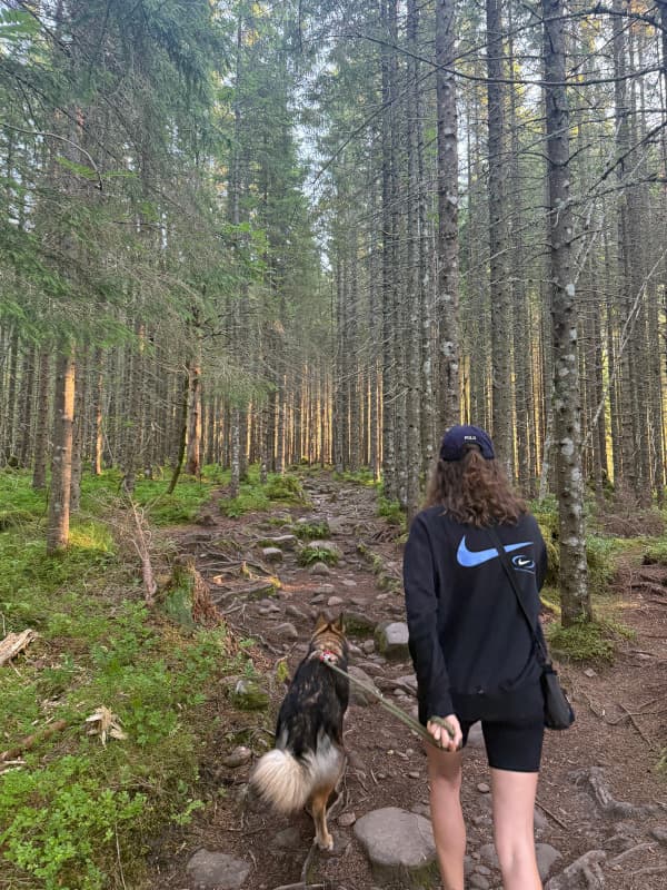 Sassi und Leeyah - Trollkyrkja Wanderung durch den Wald