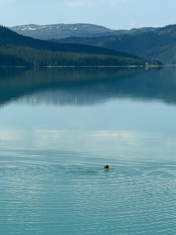 Sassi schwimmt im Langvatnet-See