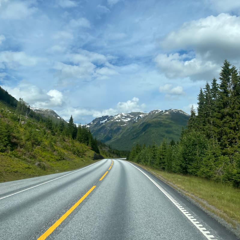 Straße Norwegen Richtung Boybreen Gletscher