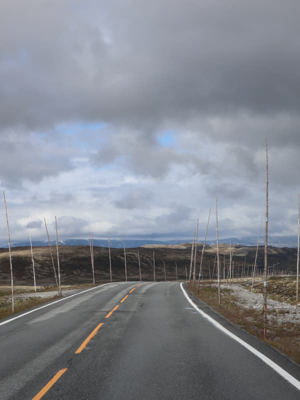 Straße bei tausend Höhenmetern - Norwegen