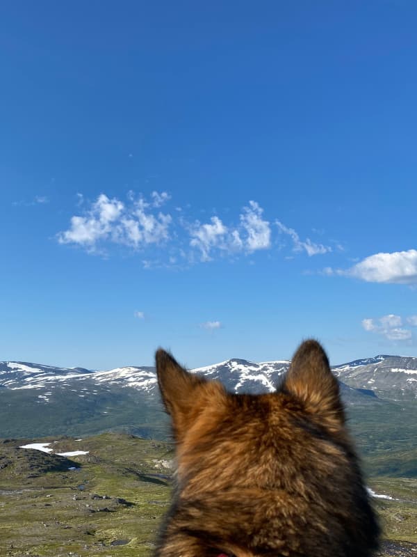 Aussicht Berge mit Leeyahs Ohren - Trollheimen