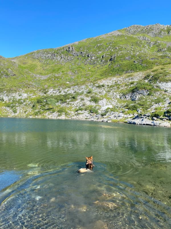 Trollkyrkja Bergsee - Leeyah schwimmt darinnen