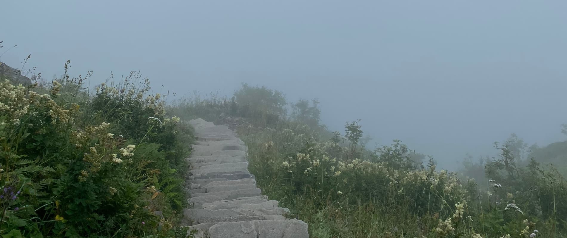 Tag 49: Reinebringen & Hamnøy