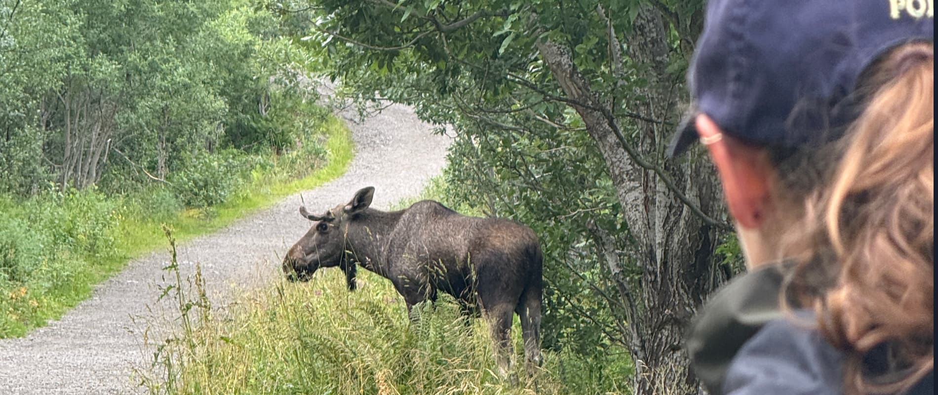 Tag 59: Tjeldberg-Wanderung
