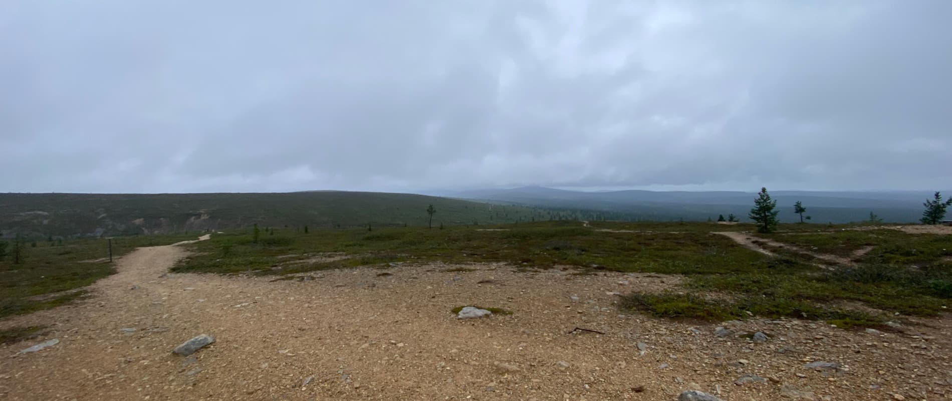 Tag 75: Wanderung durch den Wald