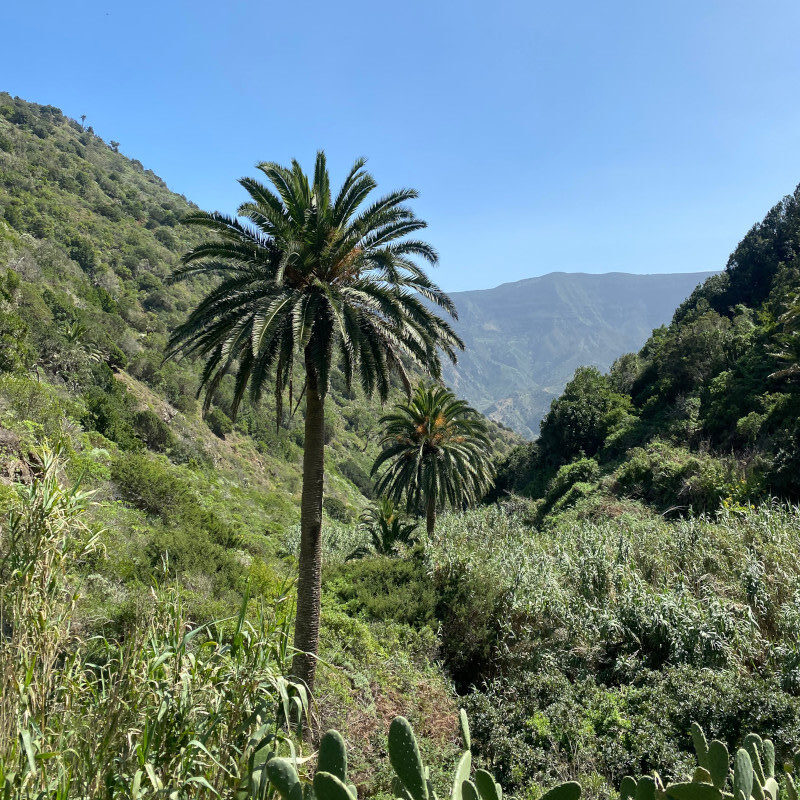 La Gomera Vallehermoso Wanderung
